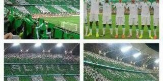 rofa_moza's profile banner image