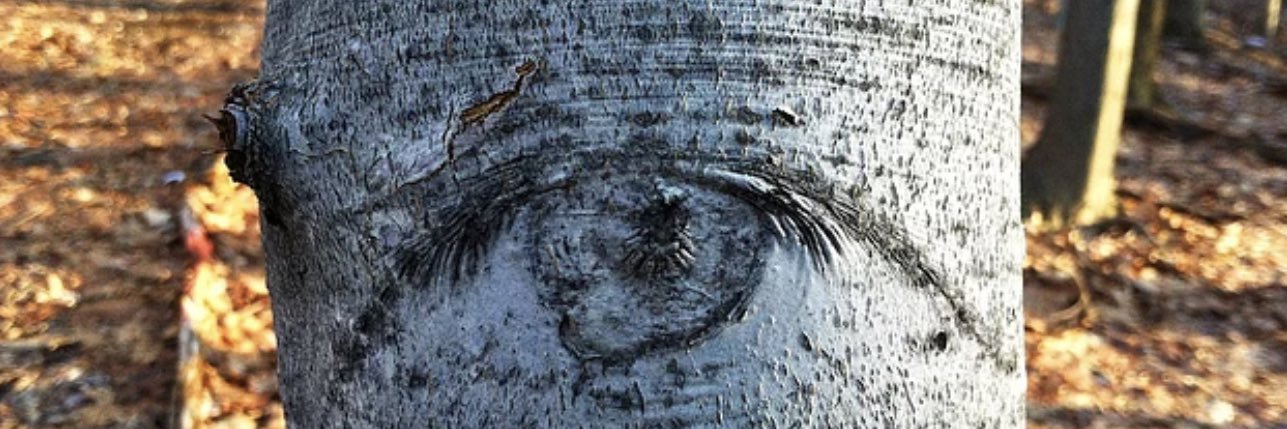 Dr. Sandra Bury banner