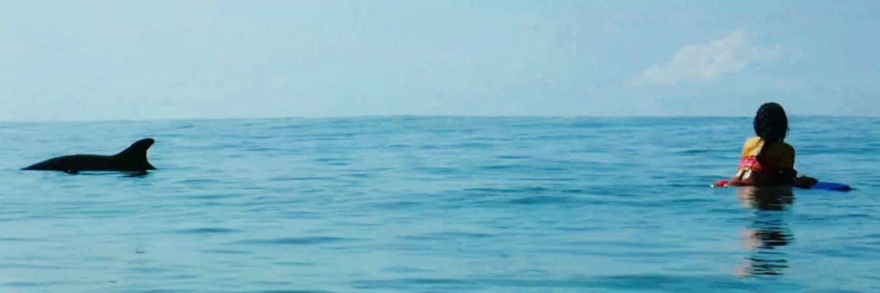 dafneeSM's profile banner image