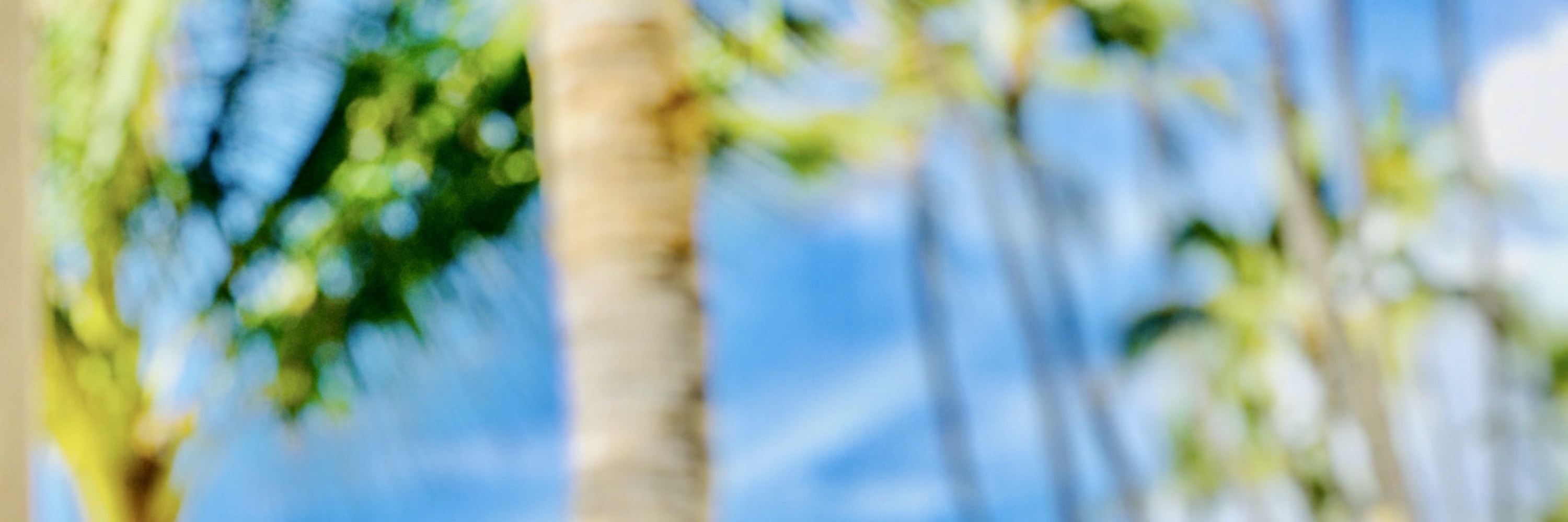 Mark Madsen banner