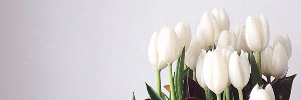 ntrsnrt's profile banner image