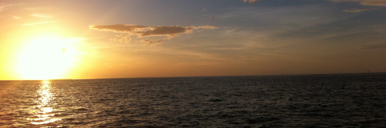Beeatrical's profile banner image