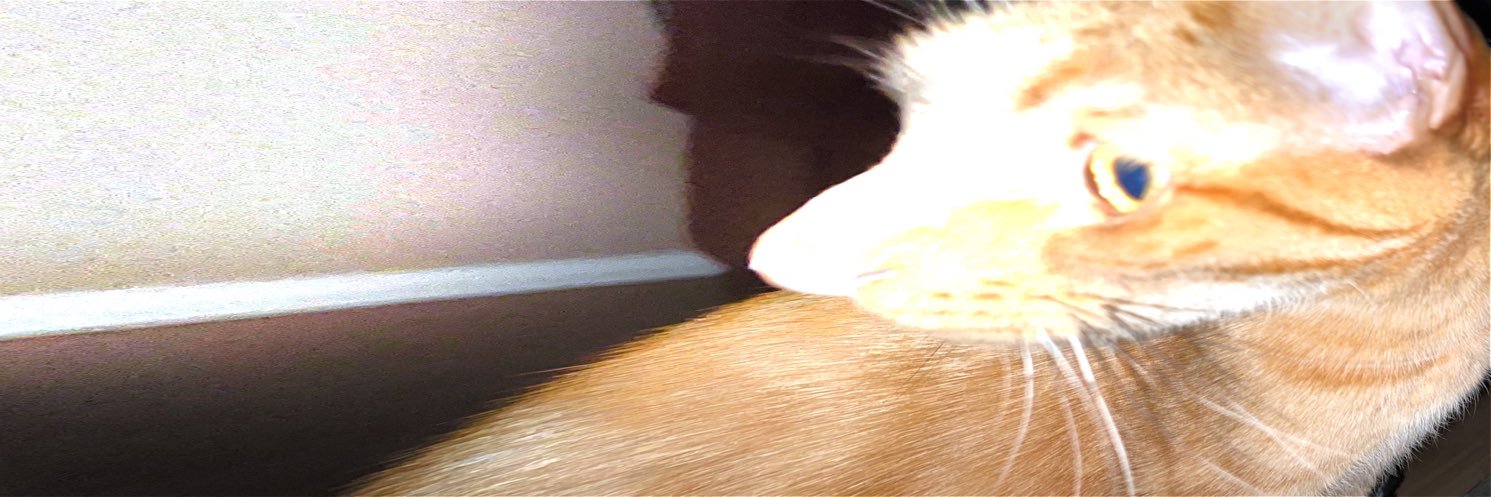 syddlambert's profile banner image