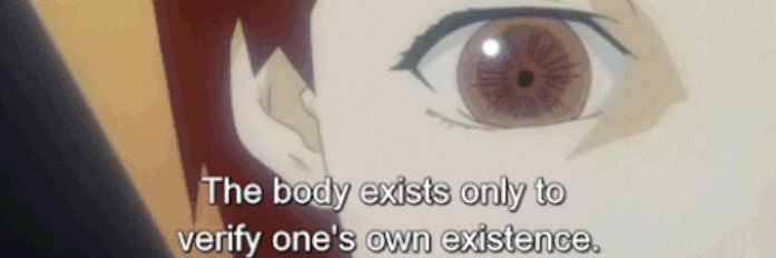 steezelikedrea's profile banner image