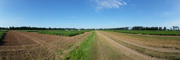 JingyiHuang101 Profile Banner