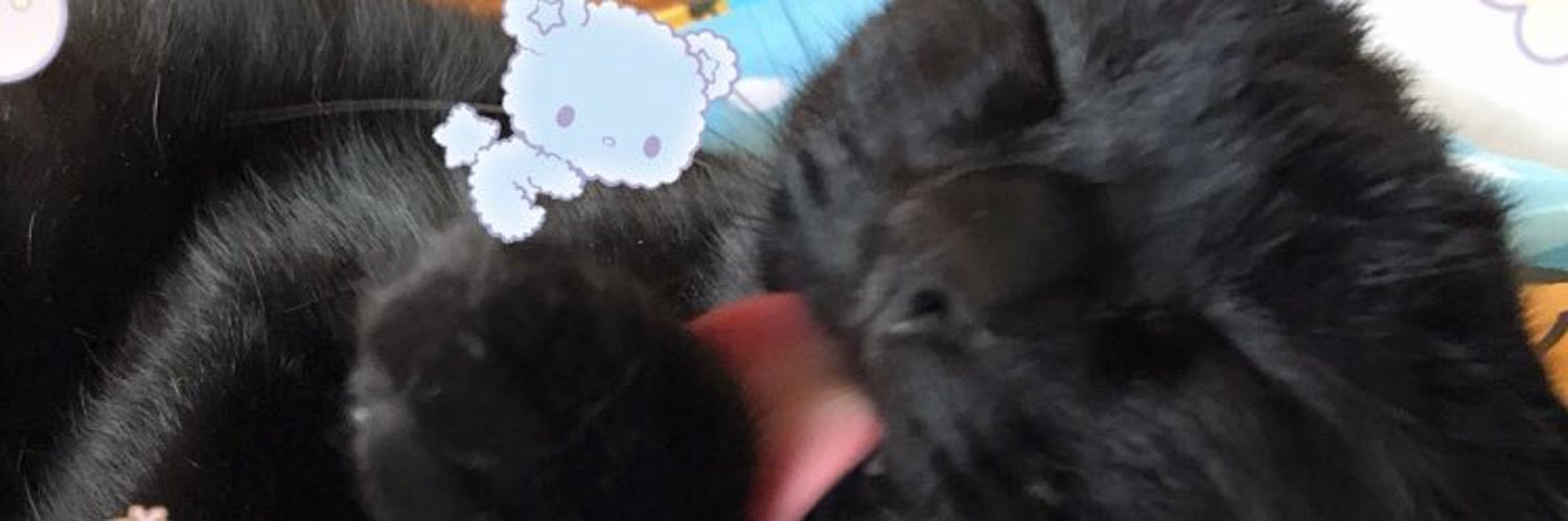 himarin7_7's profile banner image