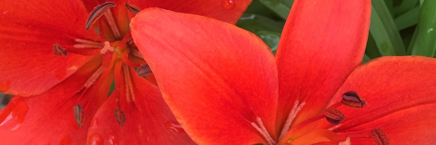 EvaMariaKallen's profile banner image