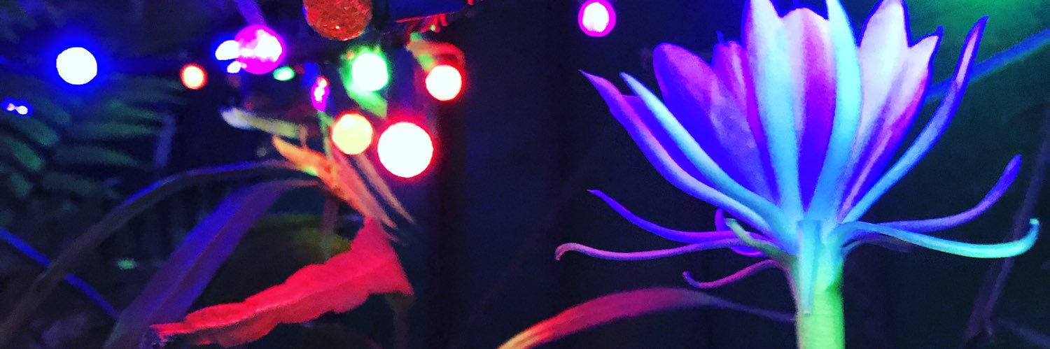 enamagma's profile banner image