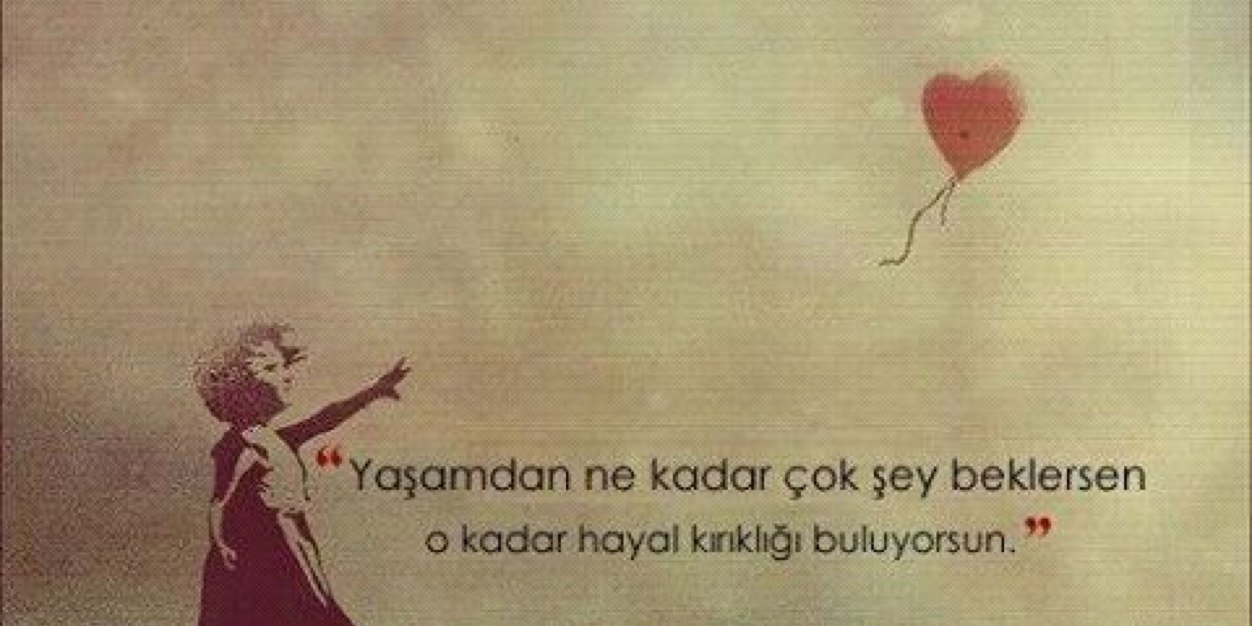 zeydilanker's profile banner image