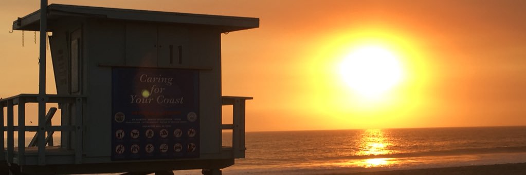 Rob Hunter banner