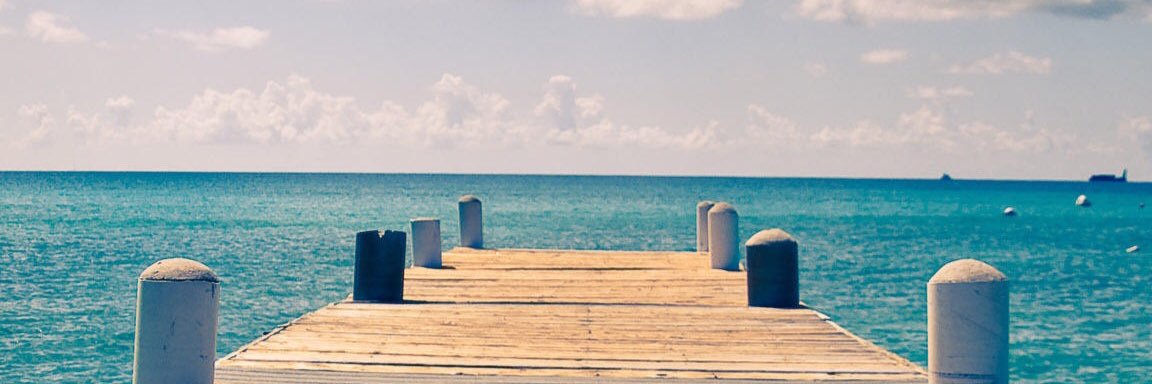 lorena p banner