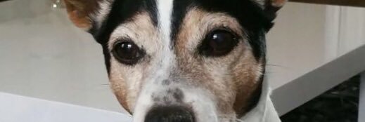 ruuufio's profile banner image