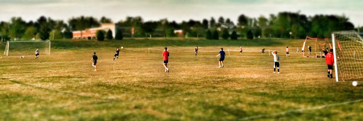 Stevenski Hallard Sr Esq OBE banner