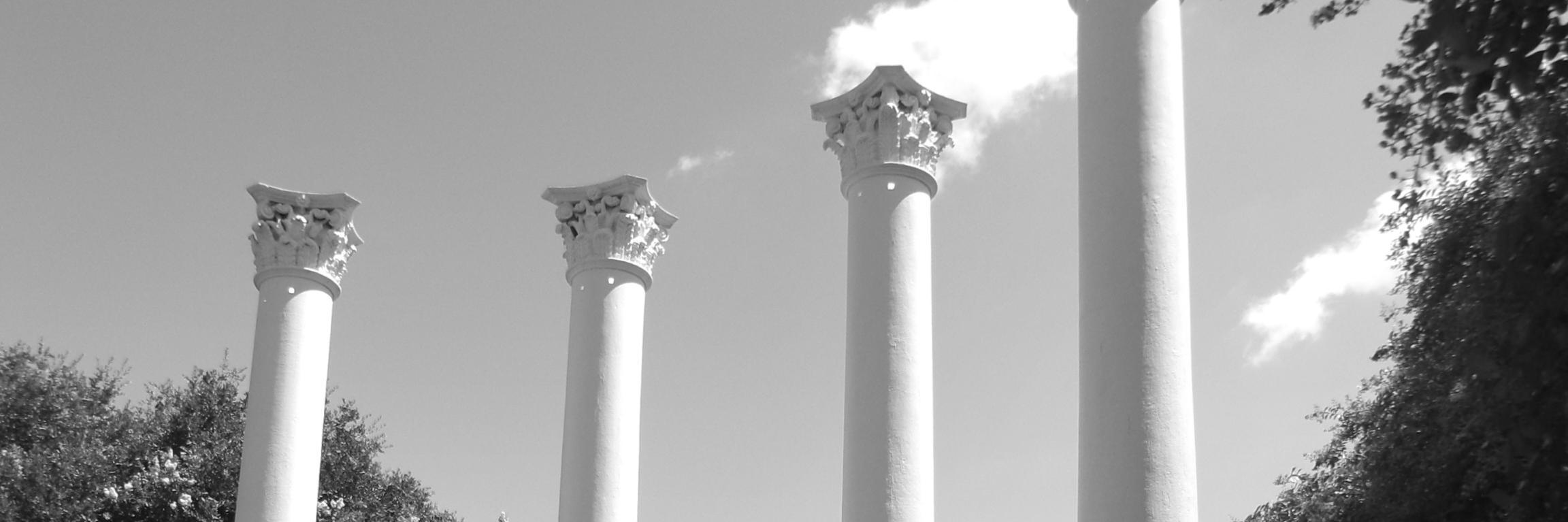 scgritsnSC's profile banner image