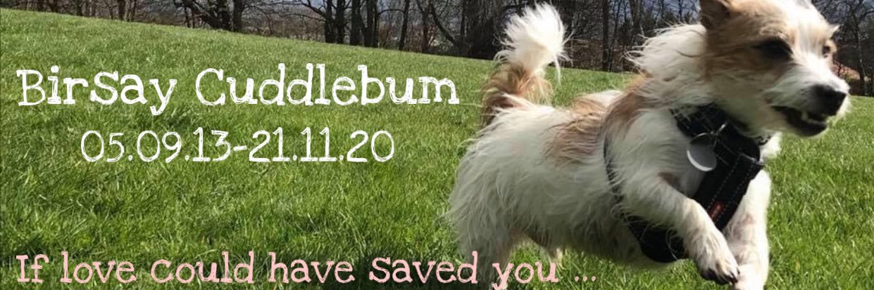birsaycuddlebum's profile banner image