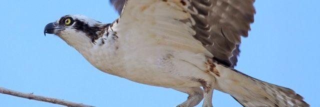 MFJones1234's profile banner image