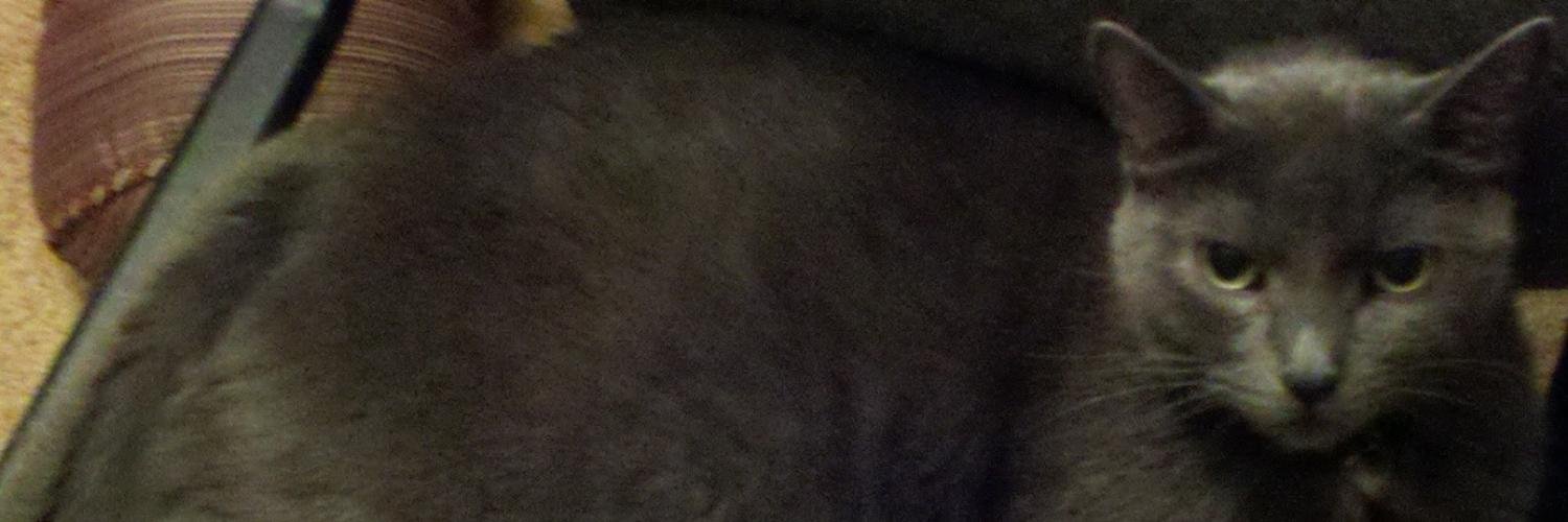 DSMac27's profile banner image
