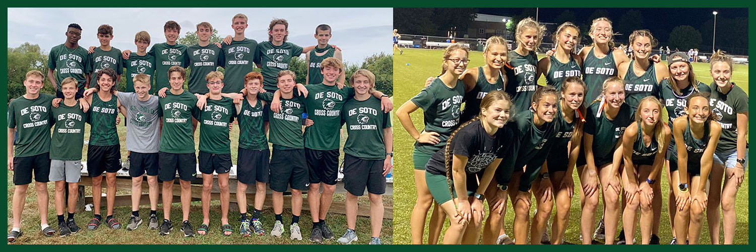 DHS Cross Country banner