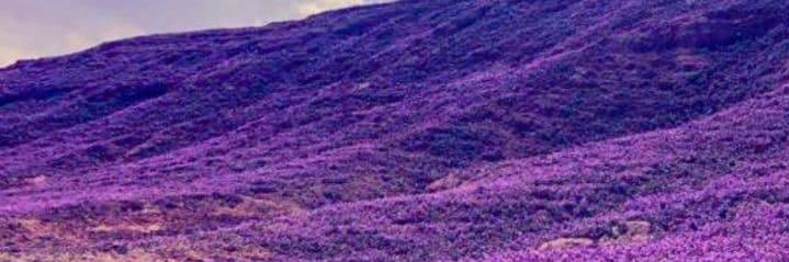 joof_p's profile banner image