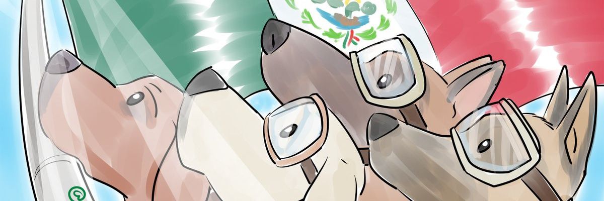 catyCastell's profile banner image
