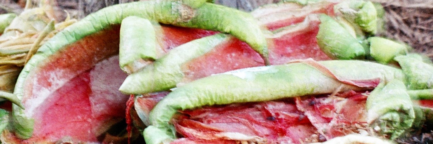 gorjussgerl's profile banner image