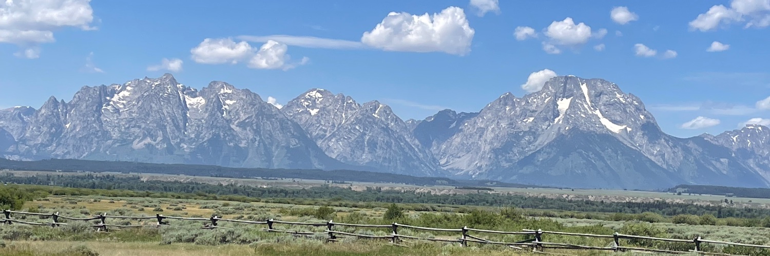 Real Developments, CFA banner