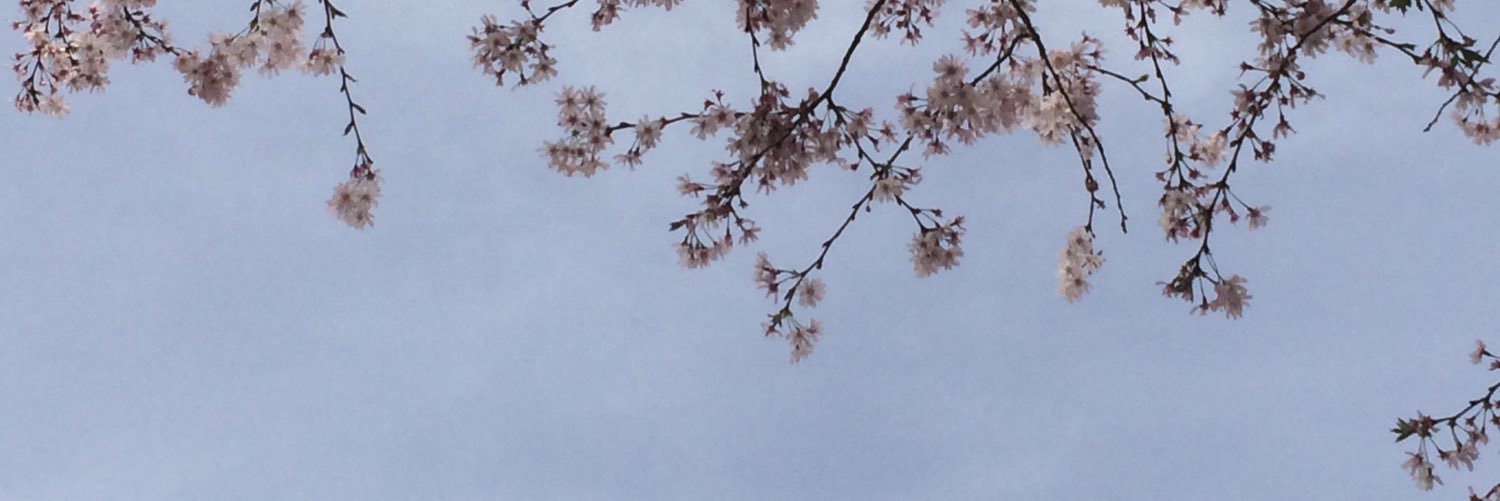 timfullbuster's profile banner image