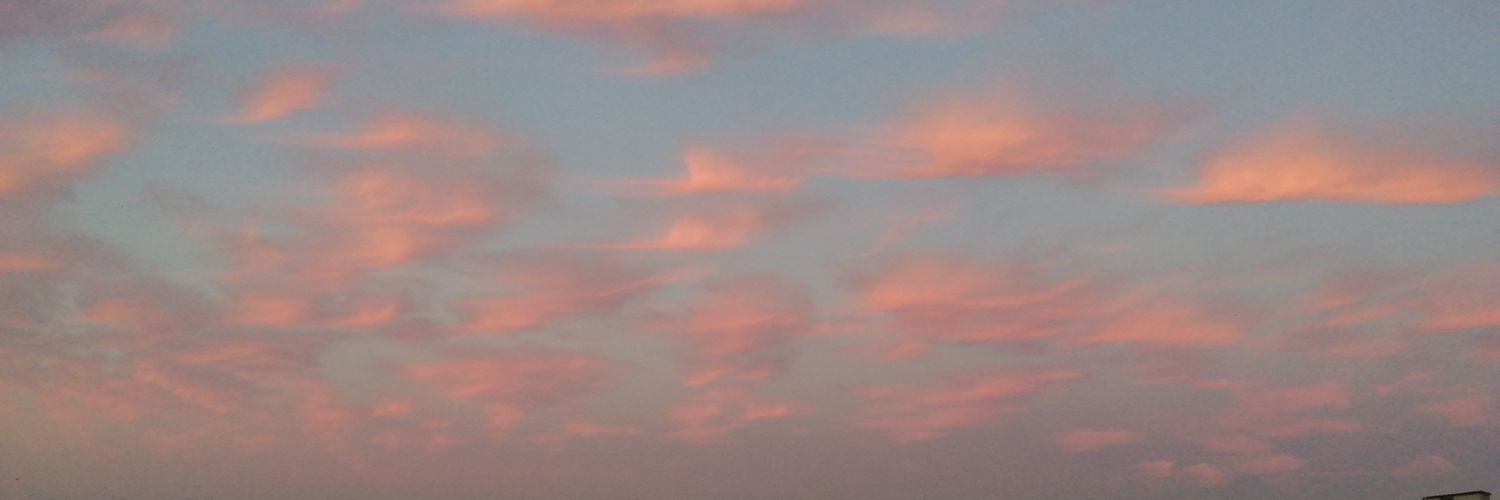 _paprik4_'s profile banner image