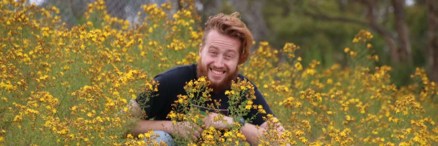 bej_harper's profile banner image
