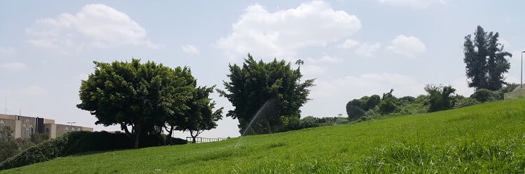 Mulham2017's profile banner image