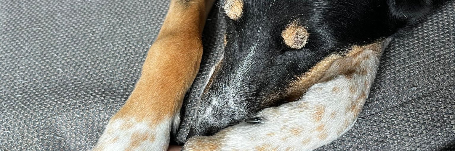 khJacobs's profile banner image