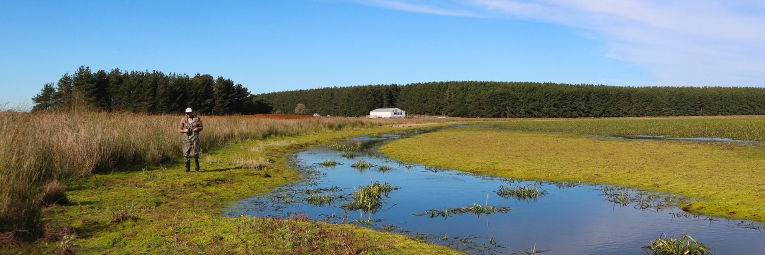 Growing Data Found. banner