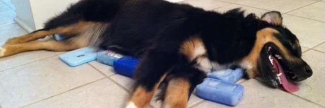 anna_mattox's profile banner image