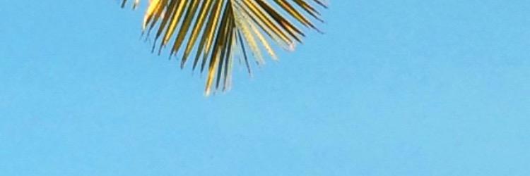 rulyalanis's profile banner image