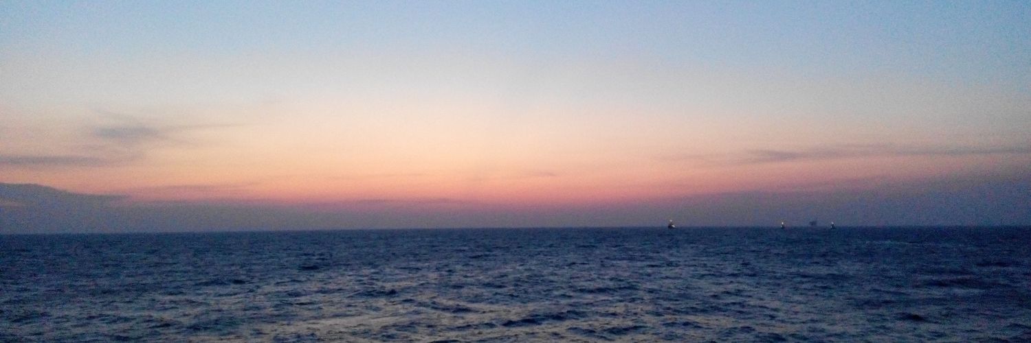 mfeira's profile banner image