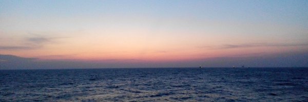 mfeira Profile Banner