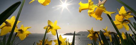 stehenllan's profile banner image