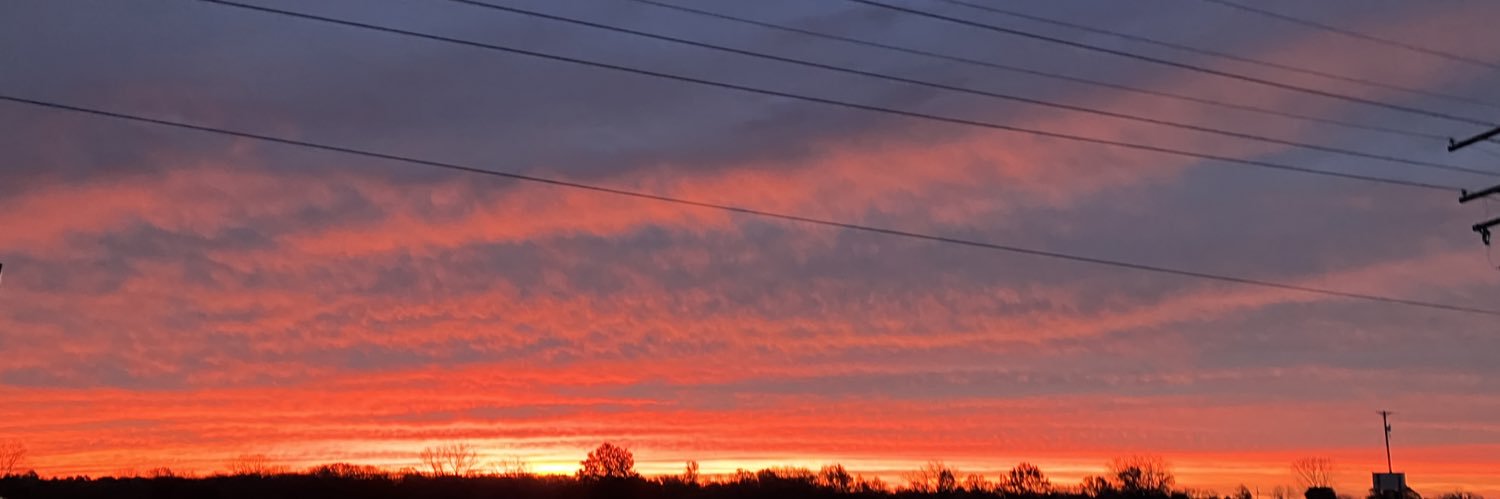 n2nativeplants's profile banner image