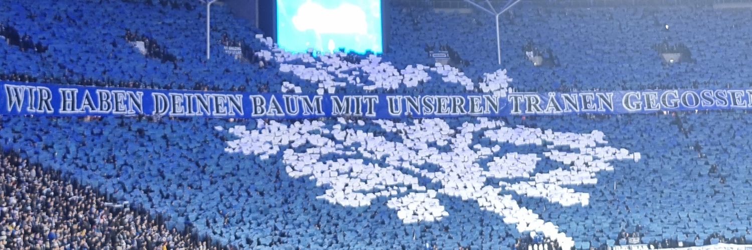 Hardy Mue banner