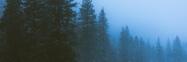 LHoC666's profile banner image