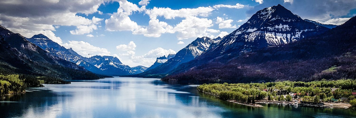 Francis McCormick banner