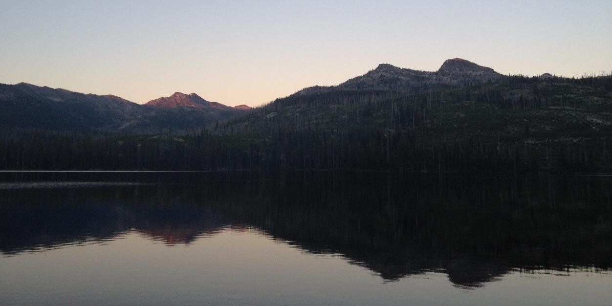 Dr Emily Bartlett (she/her) banner