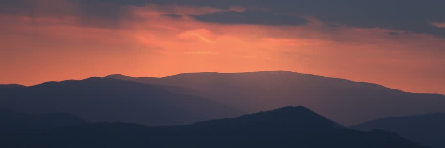 renew203's profile banner image