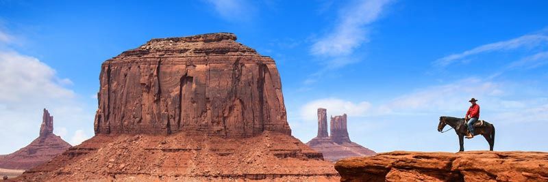 Vicente Moreno banner