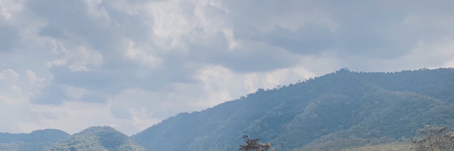 Soraidada's profile banner image