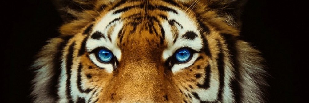 johns335's profile banner image
