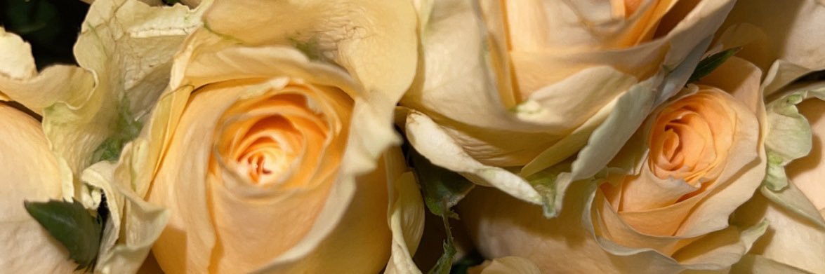 maddyloux's profile banner image