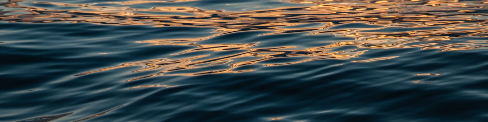 tsuki_mana's profile banner image