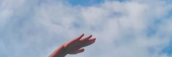wdy banner
