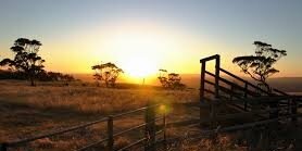 Guys_Country's profile banner image